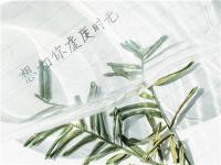 在手機上怎么賺錢？打造IP是長久賺錢的不二法門！